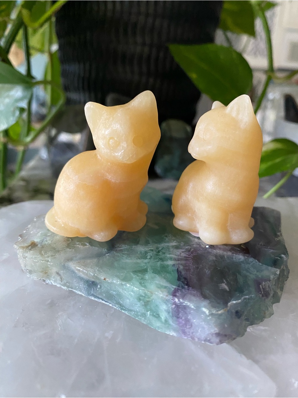 🐱🍯 HONEY CALCITE SITTING KITTIES 🍯🐱